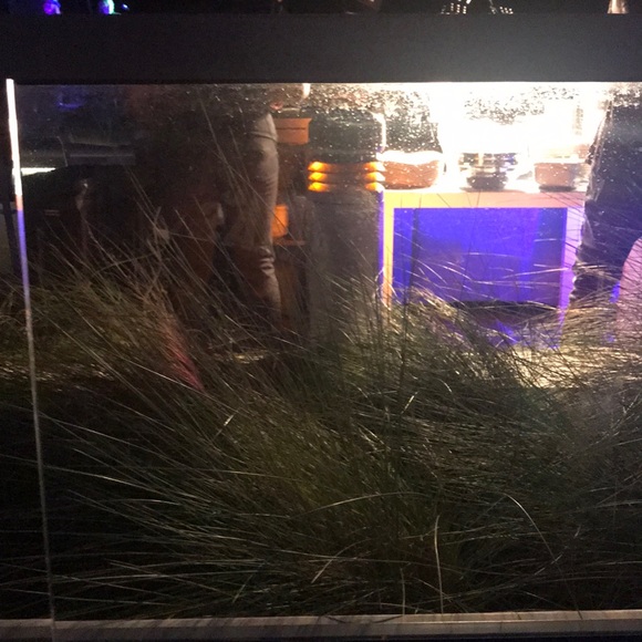 Meet your Posher, Melissa - Picture 1 of 1